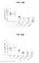Fig. 37 - Anti-integrin antibodies, compositions, methods and uses