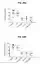 Fig. 40 - Anti-integrin antibodies, compositions, methods and uses