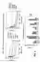 Fig. 06 - Methods and compositions for inducing apoptosis in cancer cells with an anti-DR5 antibody