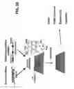 Fig. 27 - Methods and compositions for inducing apoptosis in cancer cells with an anti-DR5 antibody