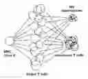 Fig. 01 - VACCINE BASED METHOD FOR PROTECTION AGAINST HIV INFECTION