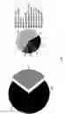 Fig. 02 - Surface proteins of Streptococcus pyogenes