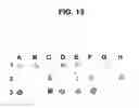 Fig. 14 - Surface proteins of Streptococcus pyogenes