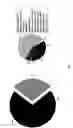 Fig. 02 - Surface proteins of Streptococcus pyogenes