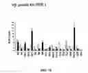 Fig. 16 - Surface proteins of Streptococcus pyogenes