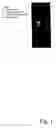 Fig. 02 - Novel plant virus particles and methods of inactivation thereof