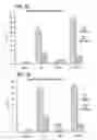 Fig. 03 - Recombinant intracellular pathogen immunogenic compositions and methods for use