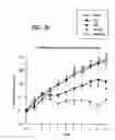 Fig. 04 - Recombinant intracellular pathogen immunogenic compositions and methods for use