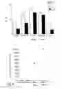 Fig. 08 - Recombinant intracellular pathogen immunogenic compositions and methods for use