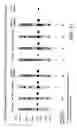 Fig. 11 - Recombinant intracellular pathogen immunogenic compositions and methods for use