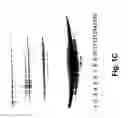 Fig. 03 - Molecular antigen arrays