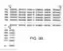 Fig. 19 - Hepatitis-C virus testing