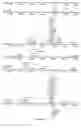 Fig. 50 - Strain of SARS-associated coronavirus and applications thereof