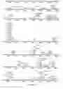 Fig. 74 - Strain of SARS-associated coronavirus and applications thereof