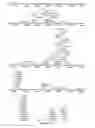Fig. 80 - Strain of SARS-associated coronavirus and applications thereof