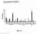 Fig. 16 - Surface proteins of Streptococcus pyogenes
