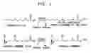 Fig. 02 - Juvenile hormone transmethylase genes and method of using the same