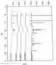 Fig. 02 - Porous calcium phosphate bone material