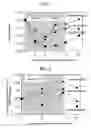 Fig. 02 - Functional beverage and composition