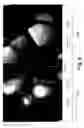 Fig. 07 - CdZnS high performance TCR material for uncooled microbolometers used in infrared sensors and method of making same