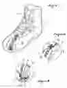 Fig. 03 - Thermal insulating component and a garment, article of footwear, etc., provided with such component