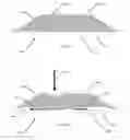 Fig. 05 - Safety Mat