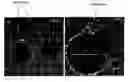Fig. 01 - Core-shell type nanoparticles comprising metal cores and crystalline shells of metal oxide or metalloid oxide
