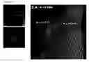 Fig. 06 - Core-shell type nanoparticles comprising metal cores and crystalline shells of metal oxide or metalloid oxide