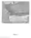 Fig. 07 - Cellular probes