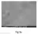 Fig. 10 - Multiple layer glass panels having adjustable tint