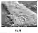 Fig. 11 - Multiple layer glass panels having adjustable tint