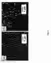 Fig. 07 - Advanced solid acid electrolyte composites