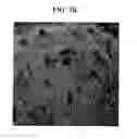 Fig. 05 - Catalyst for cathode of fuel cell, and membrane-electrode assembly for fuel cell