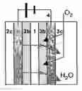 Fig. 01 - Cathode for a direct methanol fuel cell and method for operating the same