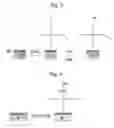 Fig. 03 - Anode active material and lithium battery using the same