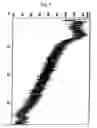 Fig. 06 - Anode active material and lithium battery using the same
