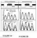 Fig. 07 - Angled-wedge chrome-face wall for intensity balance of alternating phase shift mask