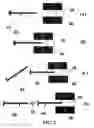 Fig. 04 - Implantable devices for chemonucleolysis of intervertebral discs