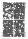 Fig. 03 - (+)-TRANS-4-(1-AMINOETHYL)-1-(4-PYRIDYCARBAMOYL)-CYCLOHEXANE AND METHOD FOR PROMOTING NEURAL GROWTH IN THE CENTRAL NERVOUS SYSTEM AND IN A PATIENT AT A SITE OF NEURONAL LESION