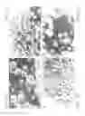 Fig. 04 - (+)-TRANS-4-(1-AMINOETHYL)-1-(4-PYRIDYCARBAMOYL)-CYCLOHEXANE AND METHOD FOR PROMOTING NEURAL GROWTH IN THE CENTRAL NERVOUS SYSTEM AND IN A PATIENT AT A SITE OF NEURONAL LESION