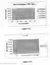 Fig. 12 - Therapeutic, prophylactic and diagnostic agents