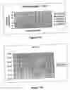 Fig. 13 - Therapeutic, prophylactic and diagnostic agents