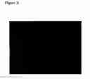 Fig. 03 - Novel polynucleotide and polypeptide sequences and uses thereof