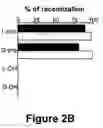 Fig. 07 - Identification and characterization of racemases, definition of protein signatures, and a test for detecting D-amino acid and for screening molecules capable of inhibiting the activity of racemase, especially proline racemase