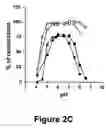 Fig. 08 - Identification and characterization of racemases, definition of protein signatures, and a test for detecting D-amino acid and for screening molecules capable of inhibiting the activity of racemase, especially proline racemase