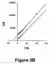 Fig. 11 - Identification and characterization of racemases, definition of protein signatures, and a test for detecting D-amino acid and for screening molecules capable of inhibiting the activity of racemase, especially proline racemase
