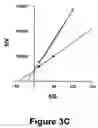 Fig. 12 - Identification and characterization of racemases, definition of protein signatures, and a test for detecting D-amino acid and for screening molecules capable of inhibiting the activity of racemase, especially proline racemase
