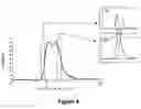 Fig. 13 - Identification and characterization of racemases, definition of protein signatures, and a test for detecting D-amino acid and for screening molecules capable of inhibiting the activity of racemase, especially proline racemase