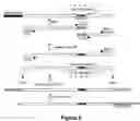 Fig. 14 - Identification and characterization of racemases, definition of protein signatures, and a test for detecting D-amino acid and for screening molecules capable of inhibiting the activity of racemase, especially proline racemase