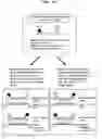 Fig. 12 - Novel mixtures for assaying nucleic acid, novel method of assaying nucleic acid with the use of the same and nucleic acid probe to be used therefor